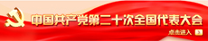 中國共產黨第二十次全國代表大會